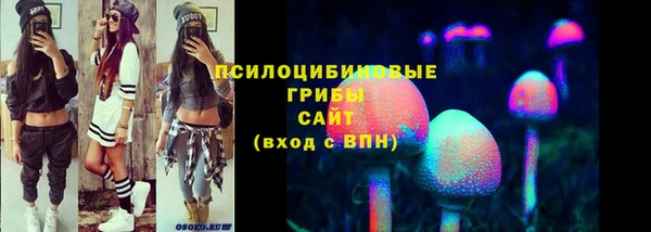 первитин Коряжма