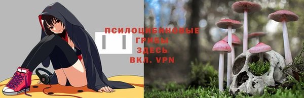 винт Костерёво
