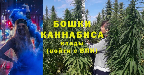 стаф Кинешма