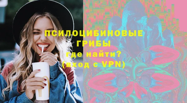 винт Костерёво