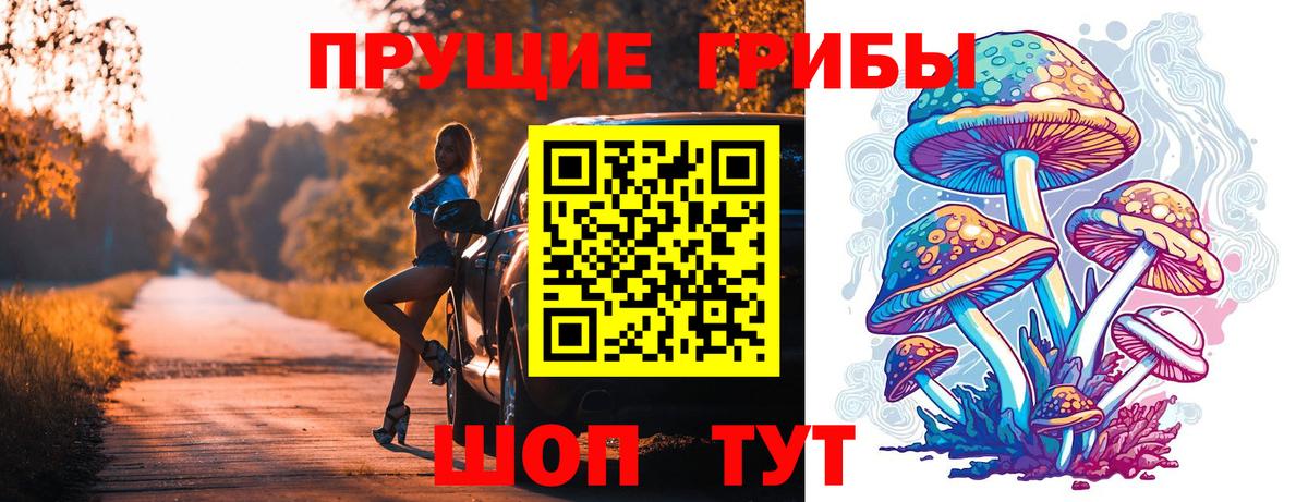 Галлюциногенные грибы прущие грибы  Вход с VPN  Саратов 
