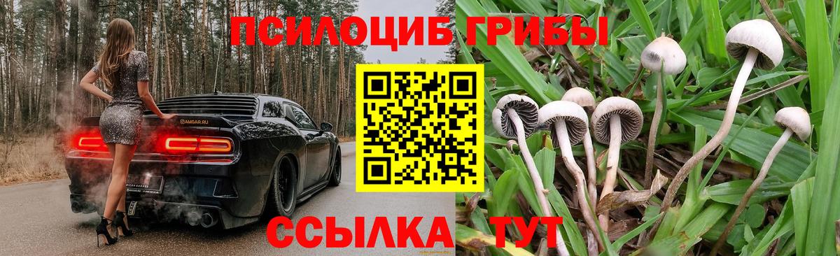 Галлюциногенные грибы мицелий Саратов